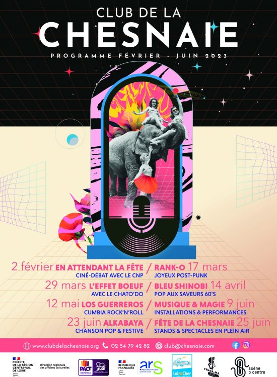 2301AfficheChesnaiePiraterie